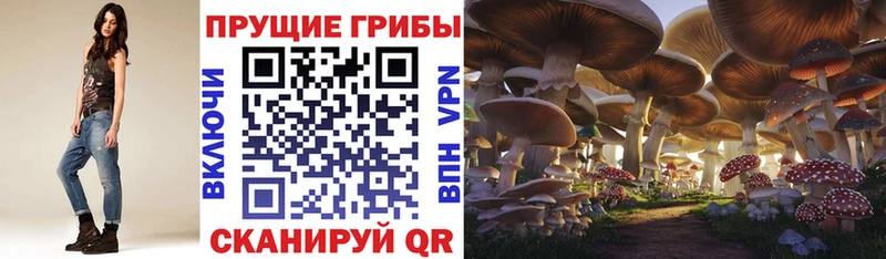 Псилоцибиновые грибы Magic Shrooms shop телеграм Северобайкальск