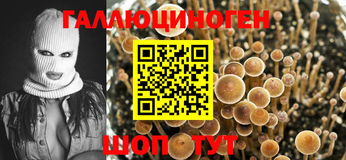 Псилоцибиновые грибы MAGIC MUSHROOMS Северобайкальск